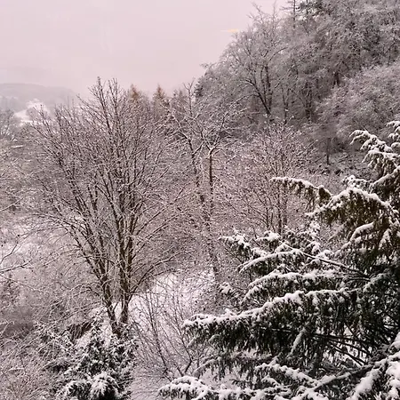Waldseele Appartement Battenberg  Экстерьер фото